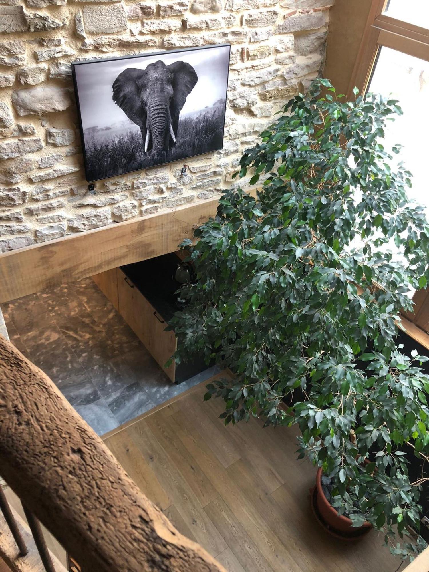 Maison Millot ボーヌ エクステリア 写真